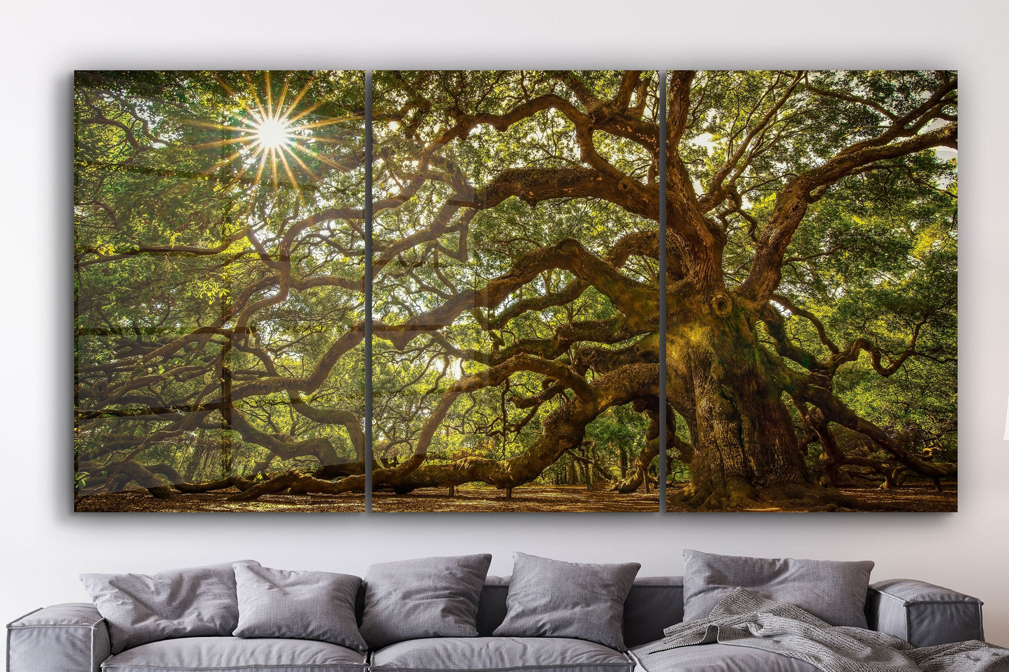 Giant Tree, Extra Large Glass Wall Art