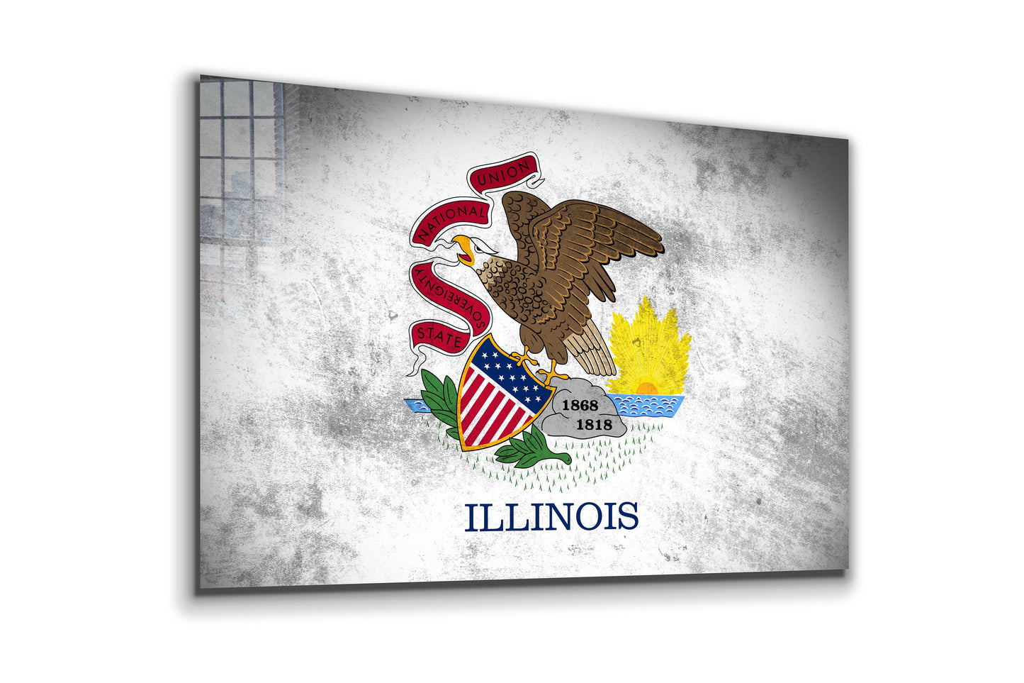 Illinois Grungy Flag, Large Glass Wall Art