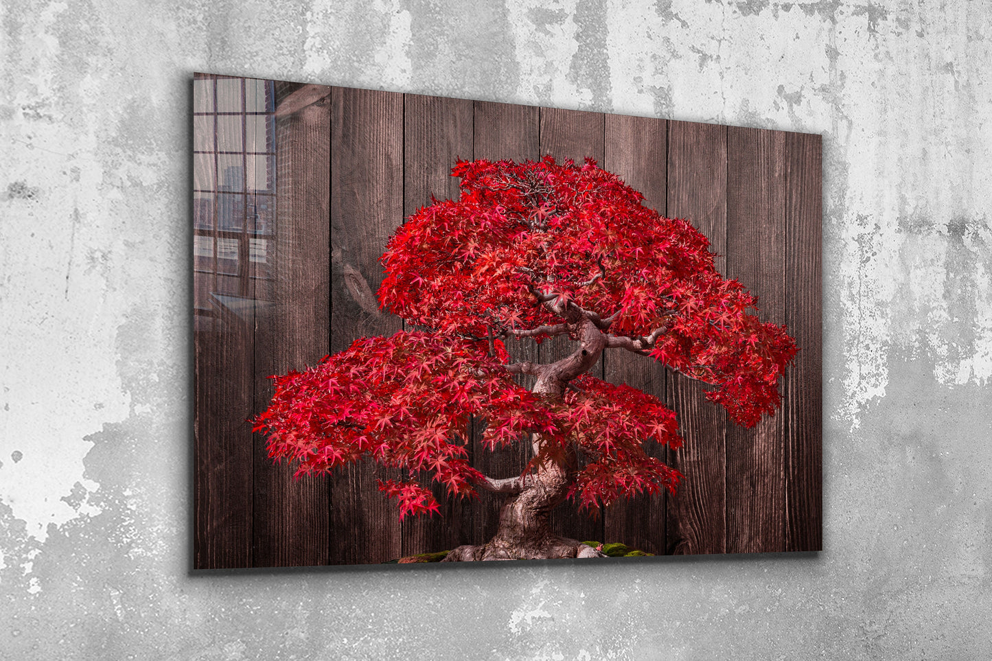 Bonsai Tree, Large Glass Wall Art