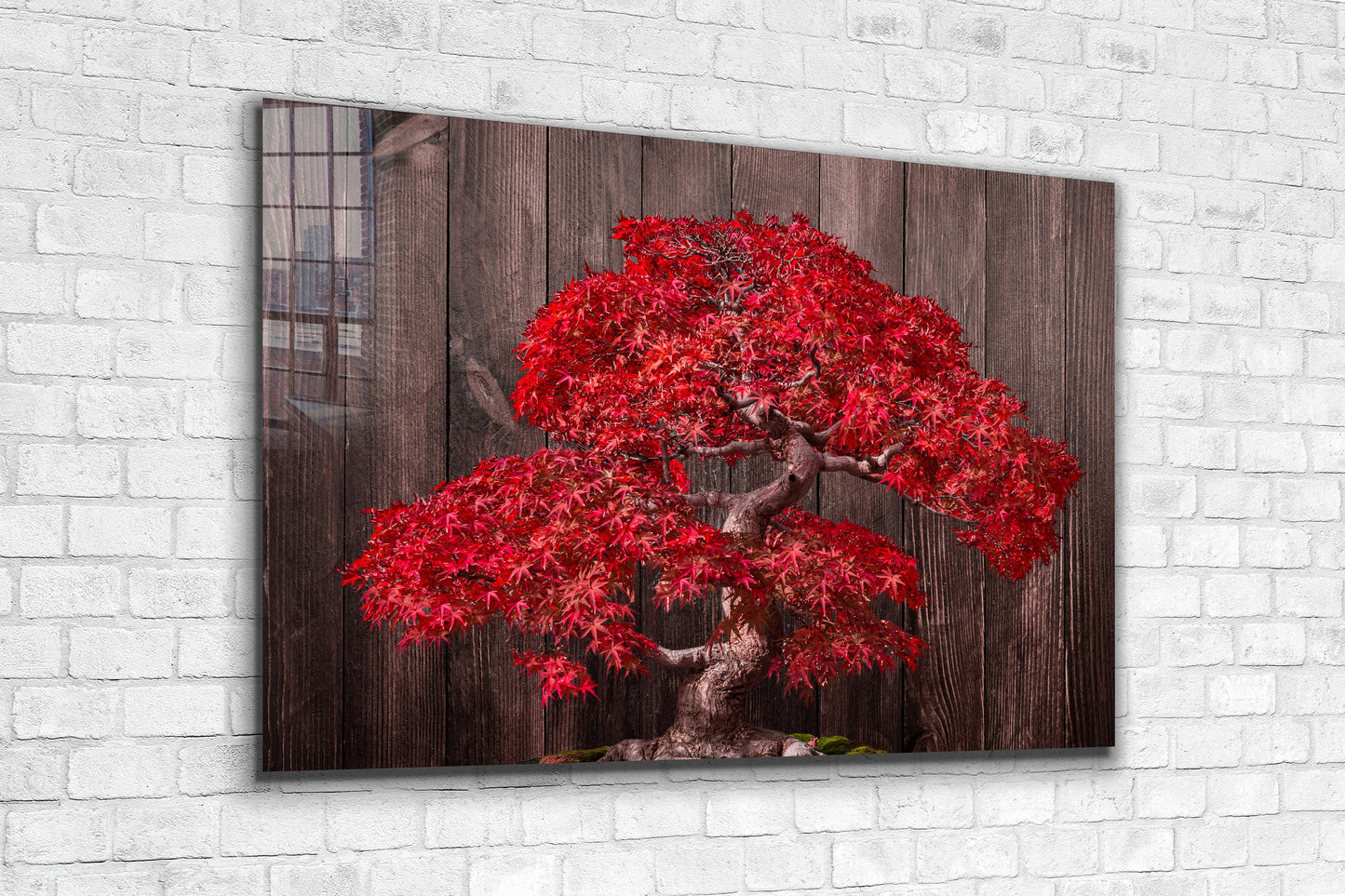 Bonsai Tree, Large Glass Wall Art