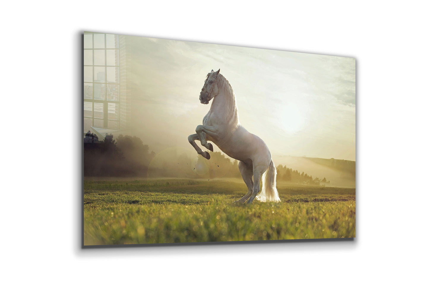 White Horse Large Glass Wall Art