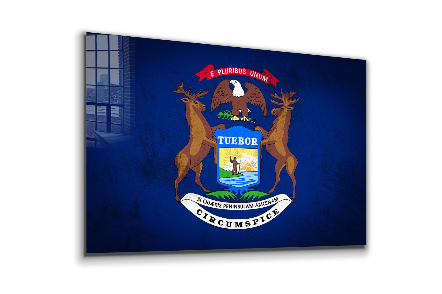 Michigan Grungy Flag, Large Glass Wall Art