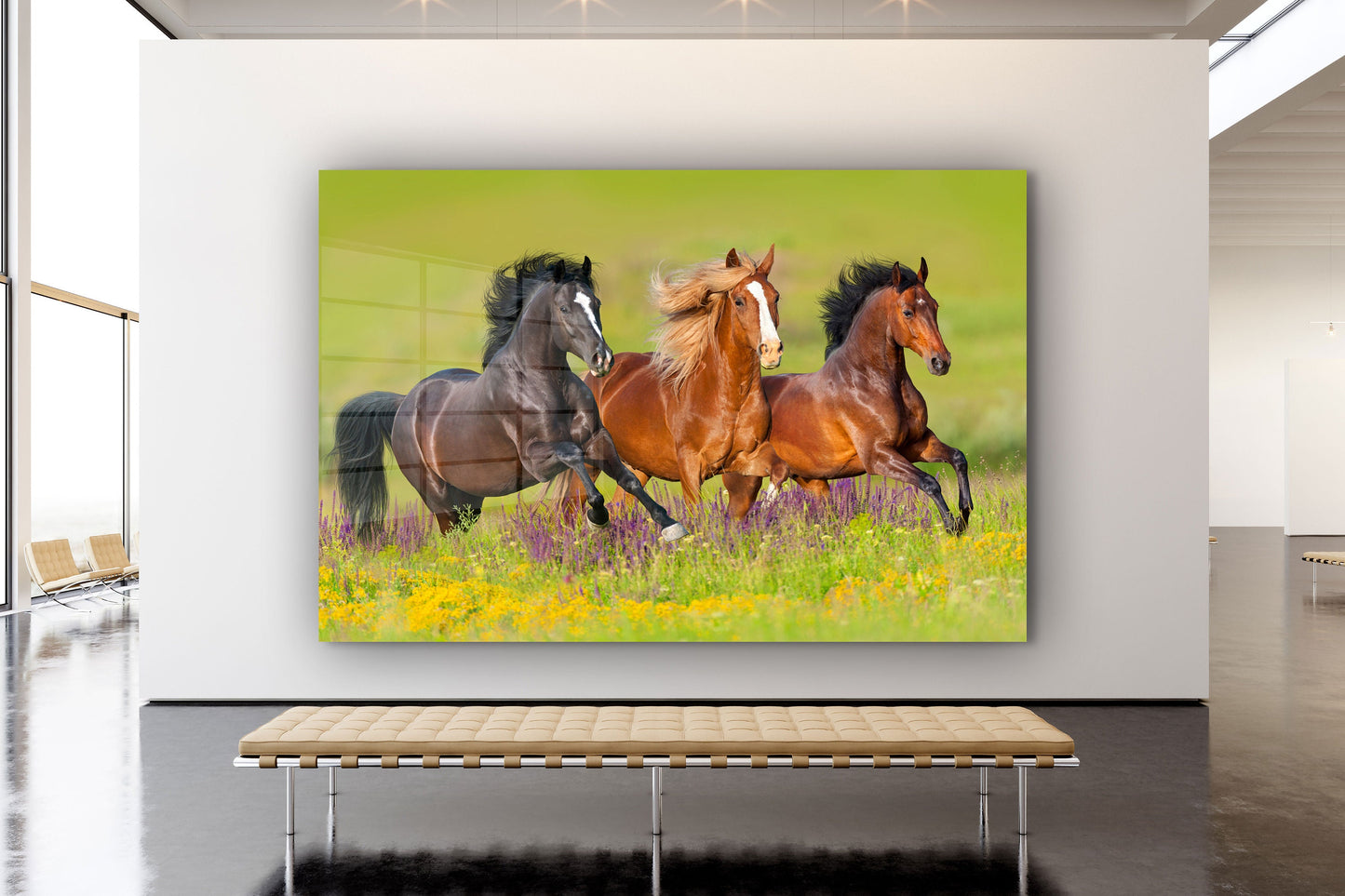Horses, Large Glass Wall Art