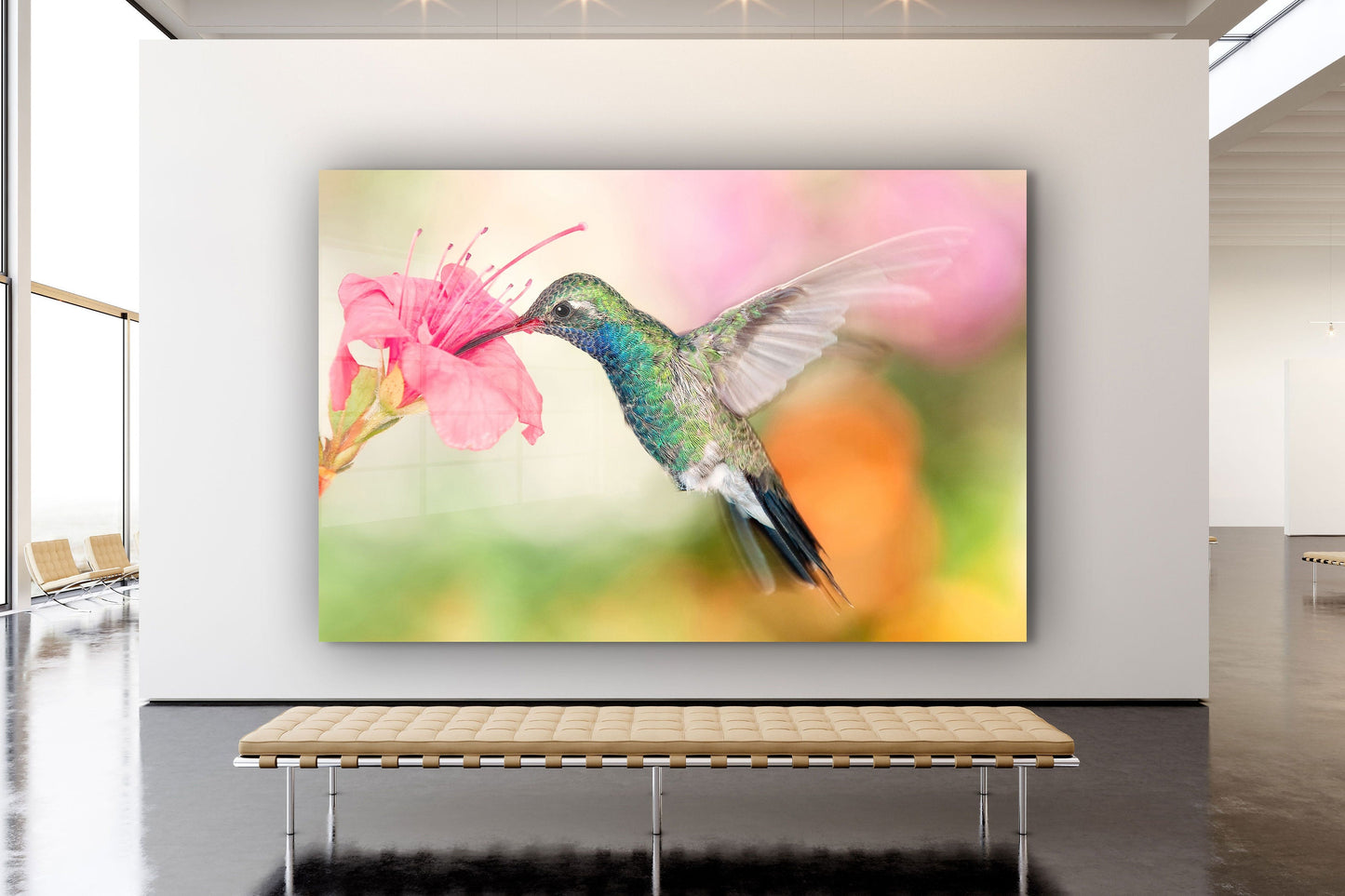 Beautiful Hummingbird, Large Glass Wall Art