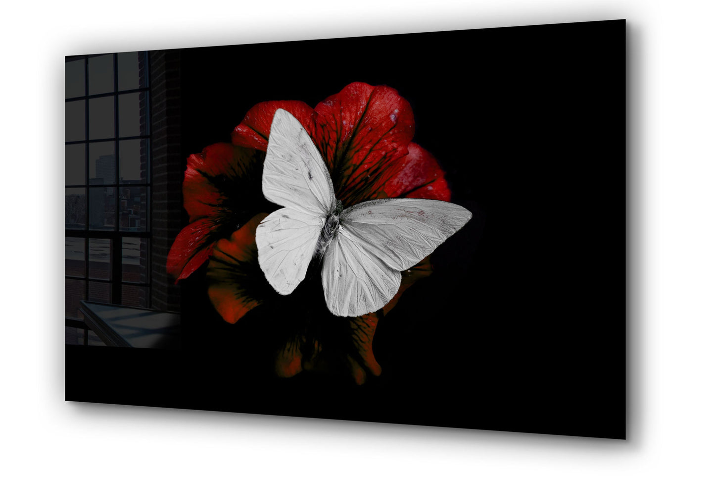 White Butterfly, Large Glass Wall Art