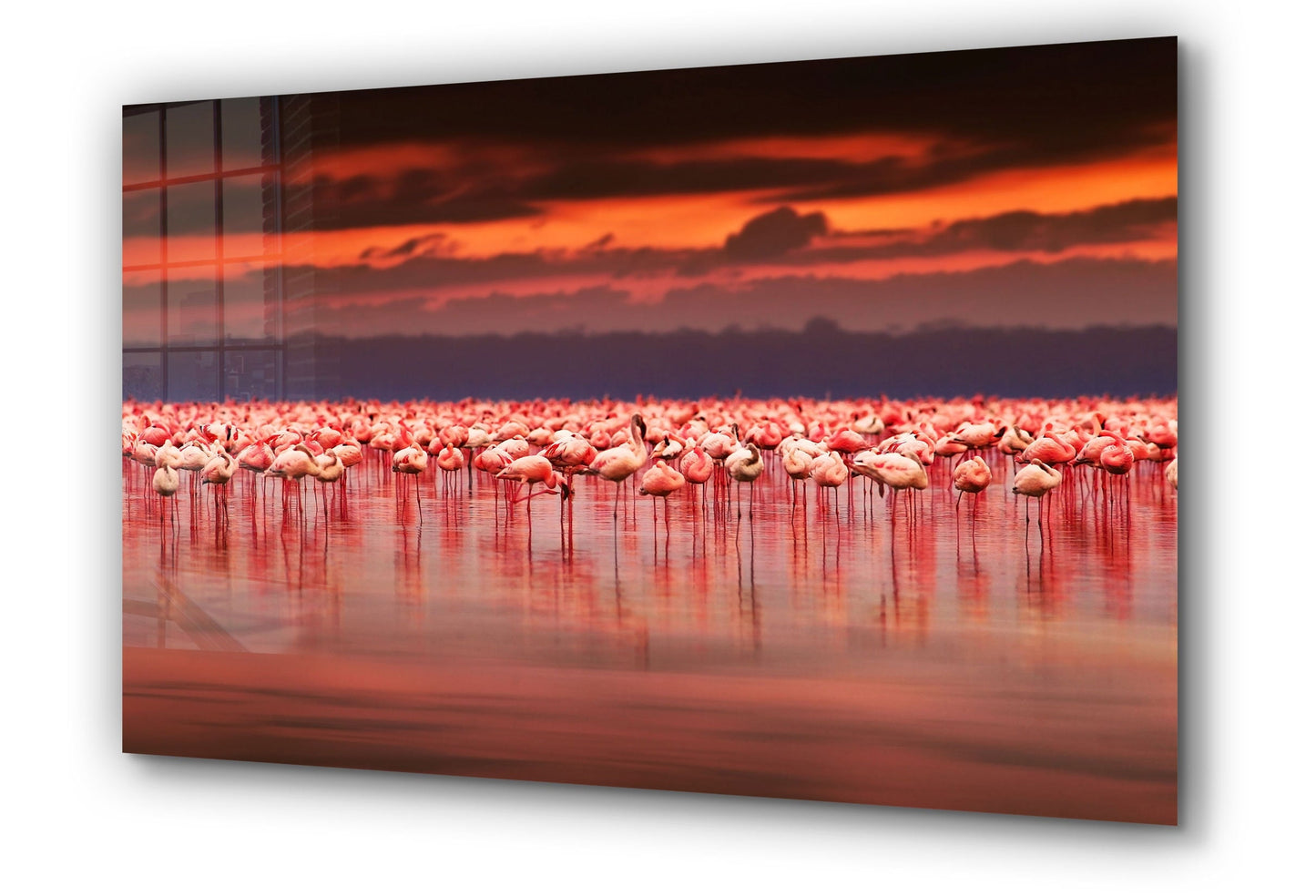 Pink Flamingos, Ocean Sunset, Large Glass Wall Art