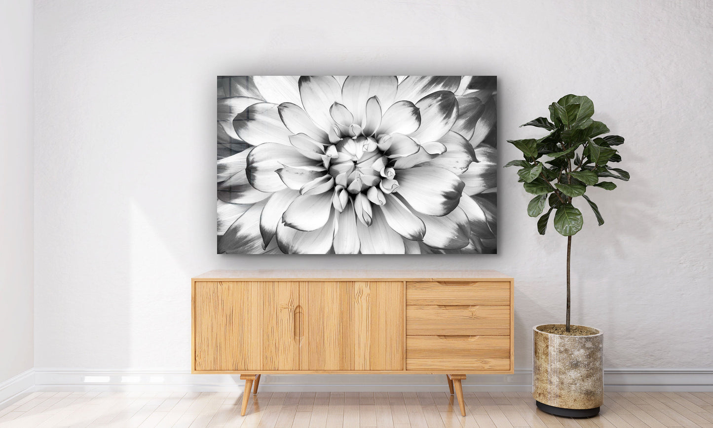 Black and White Macro Shot of Flower,Flower , Large Glass Wall Art