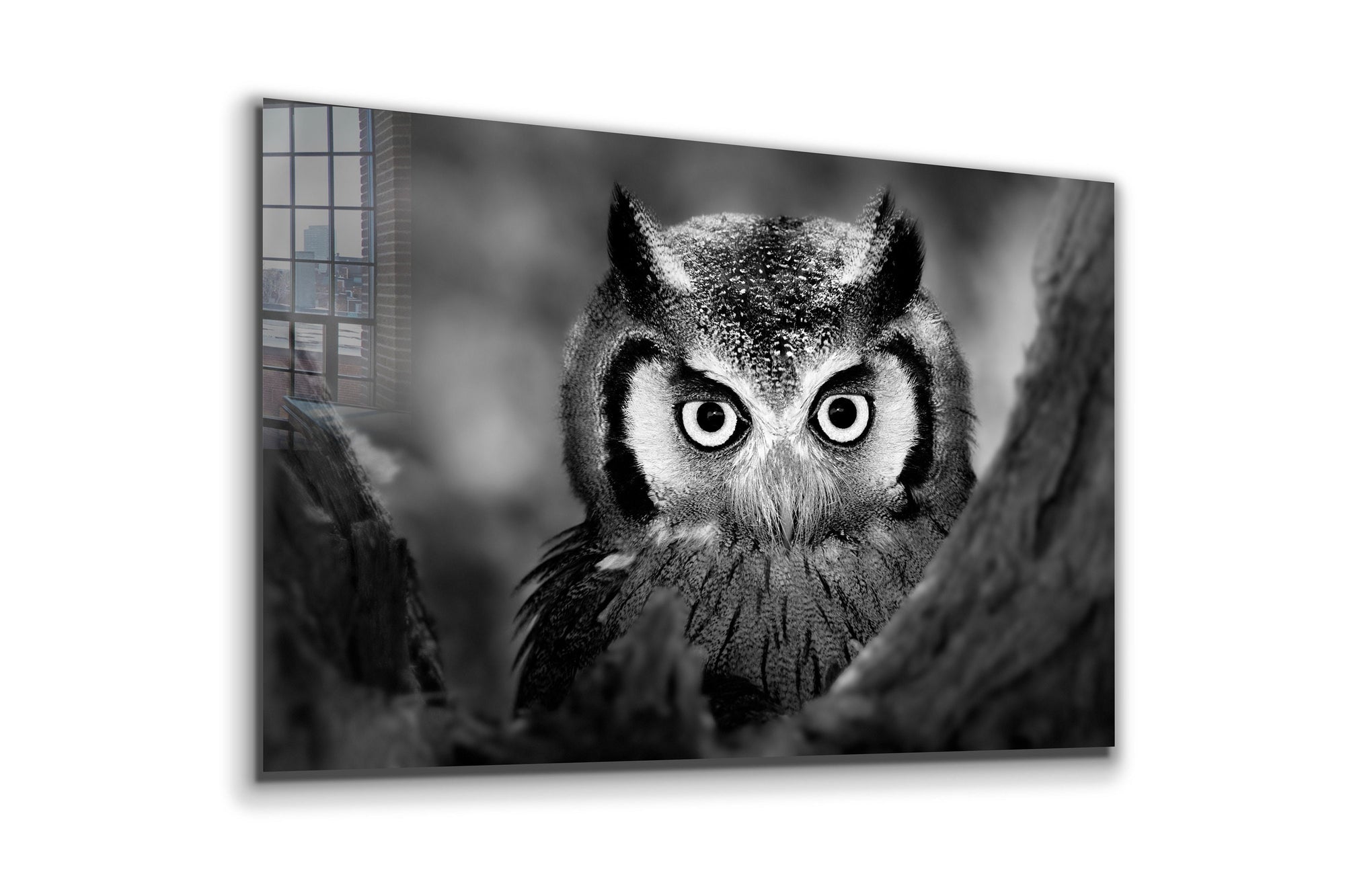 Owl, Large Glass Wall Art