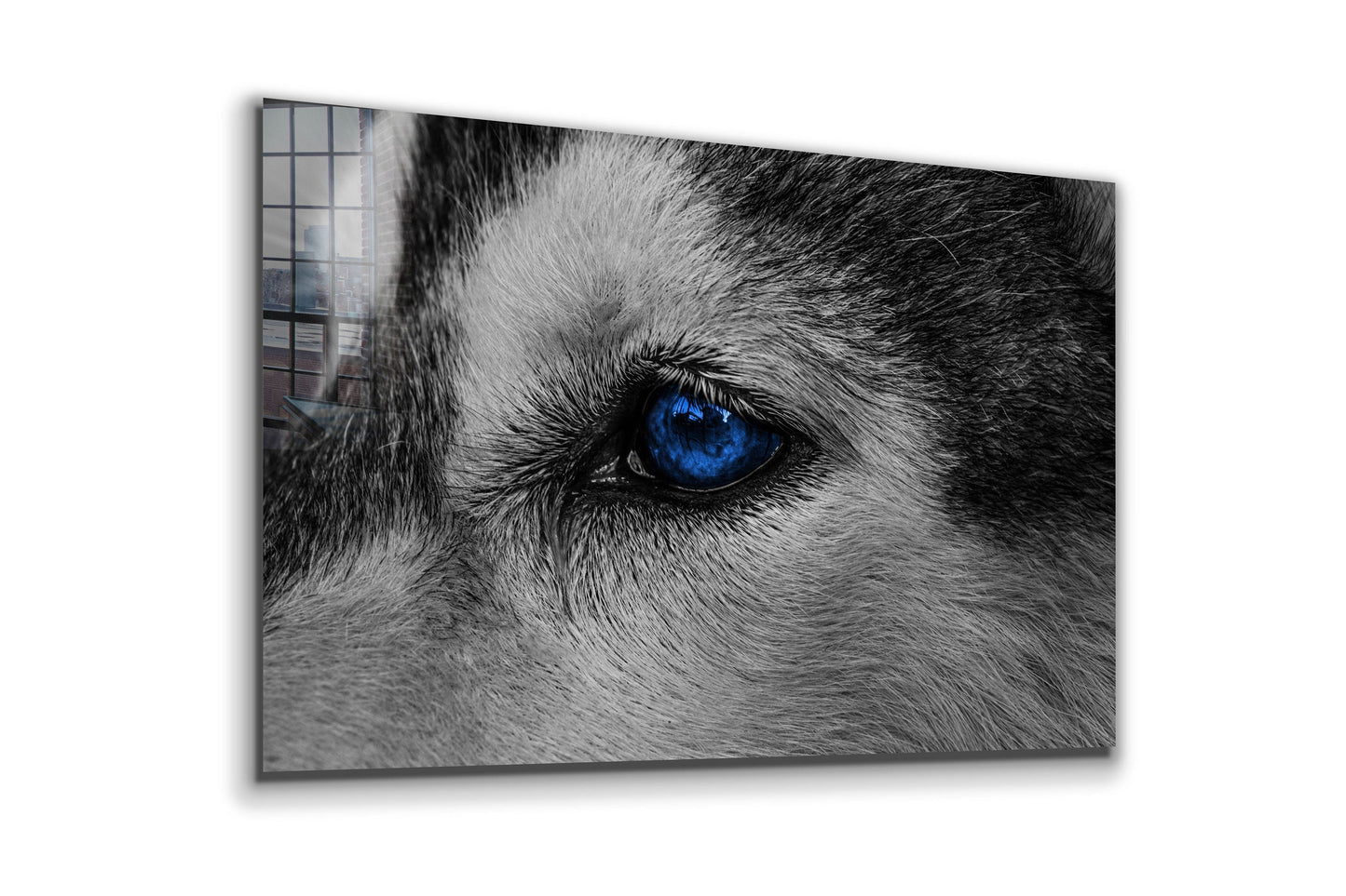 Eye of the Wolf, Large Glass Wall Art