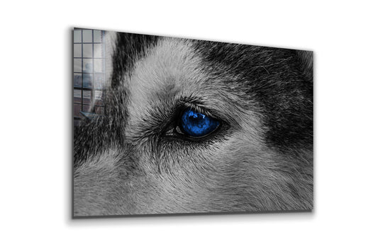 Eye of the Wolf, Large Glass Wall Art