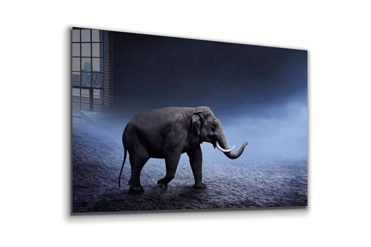 Elephant Night Walk, Large Glass Wall Art