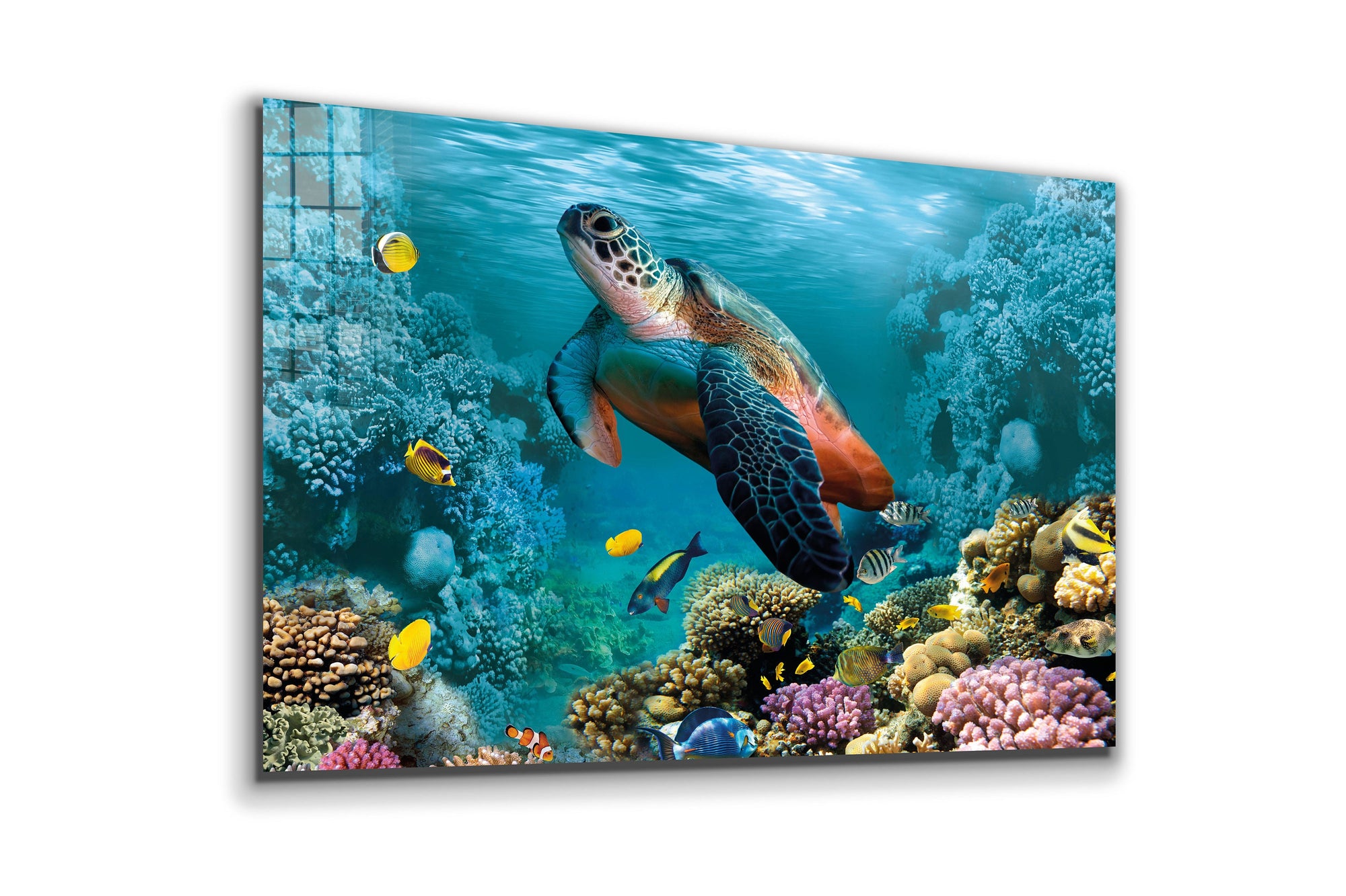 Sea Turtle, Large Glass Wall Art