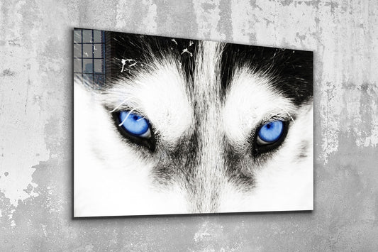 Wolf Large Glass Wall Art