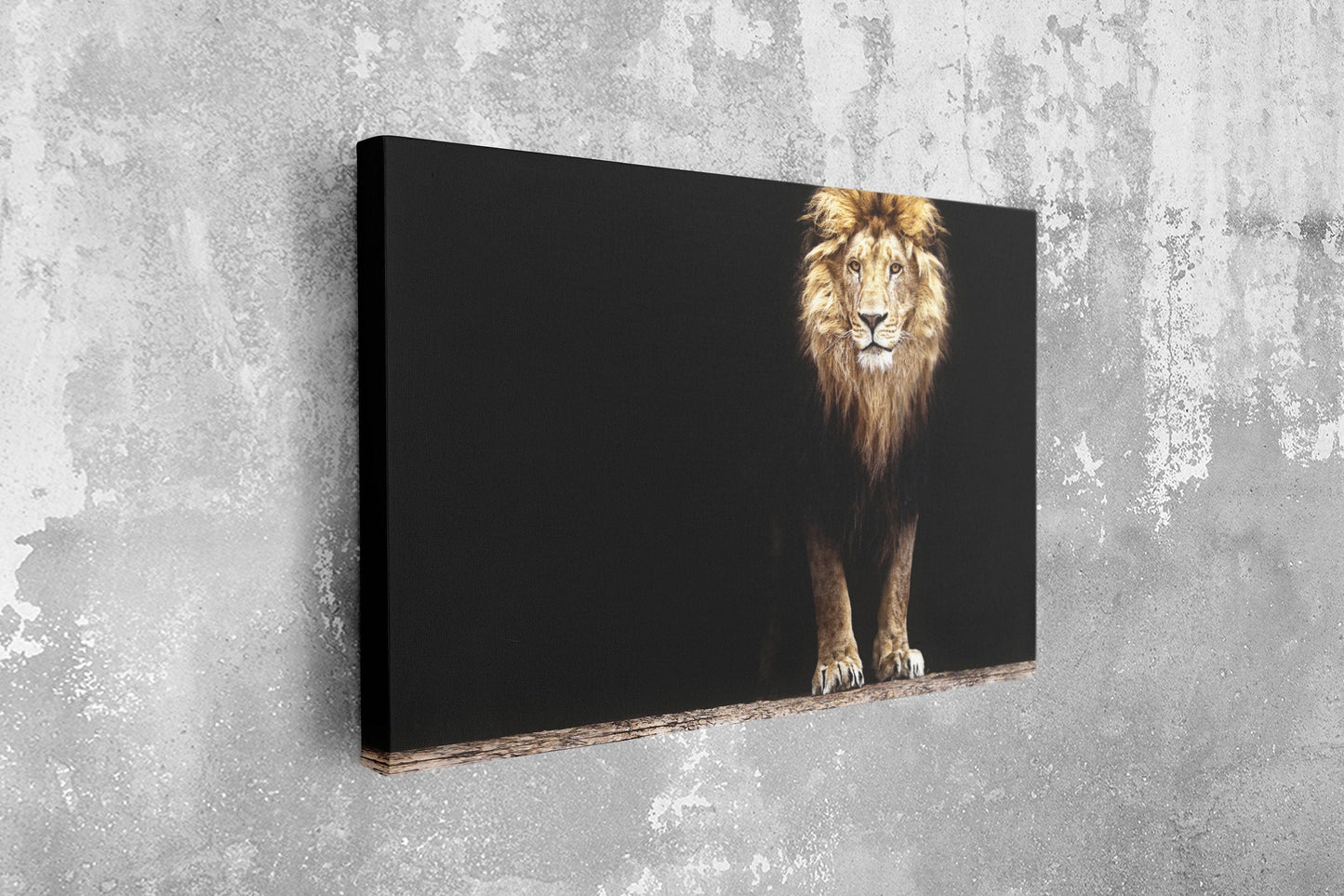 Lion, King of the Jungle, Large Glass Wall Art