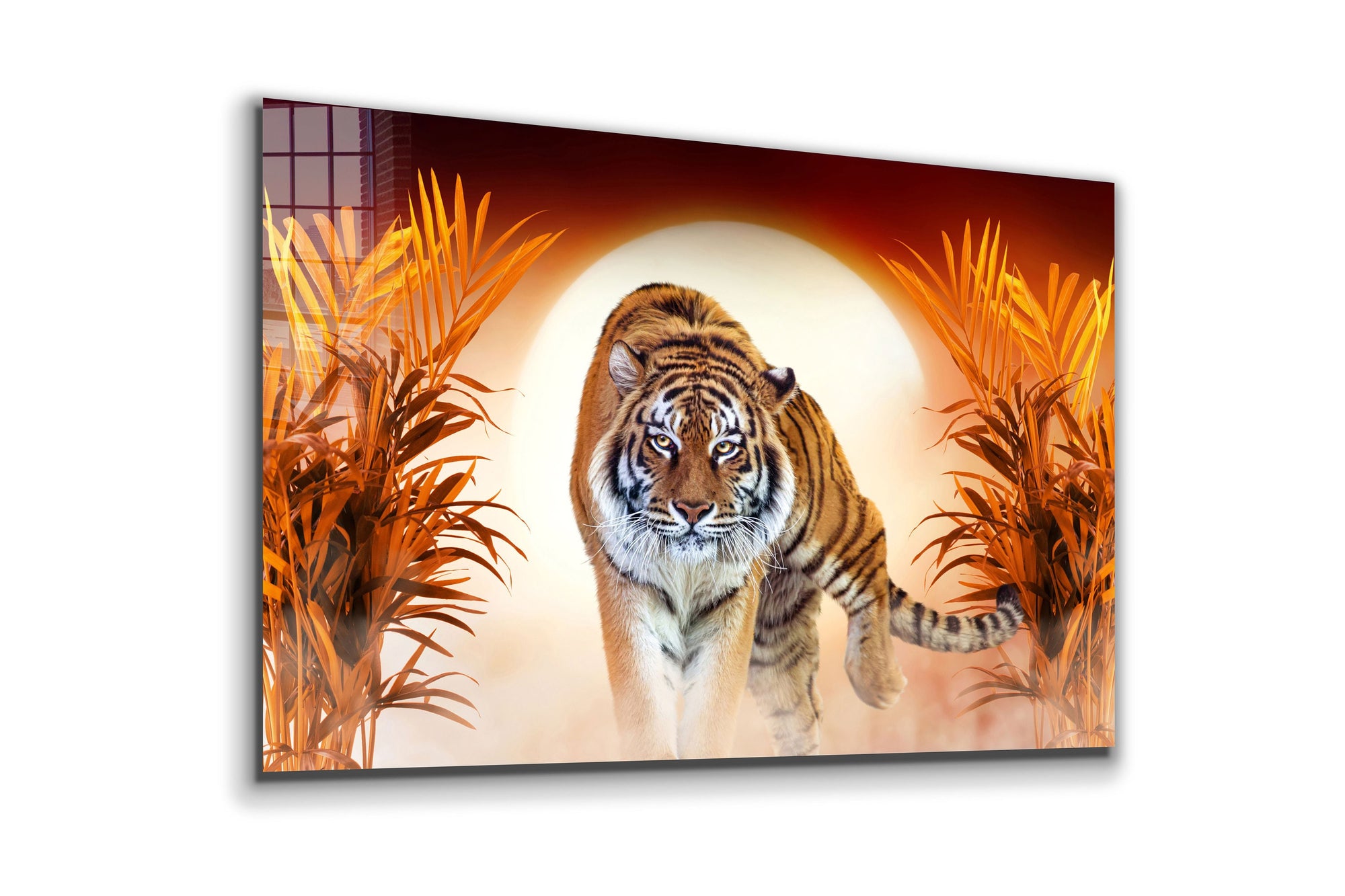 Tiger, Sunset, Large Glass Wall Art