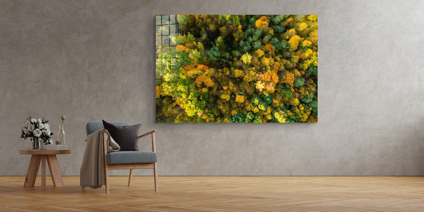 Forest Aerial, Large Glass Wall Art