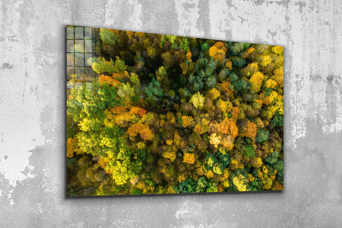 Forest Aerial, Large Glass Wall Art