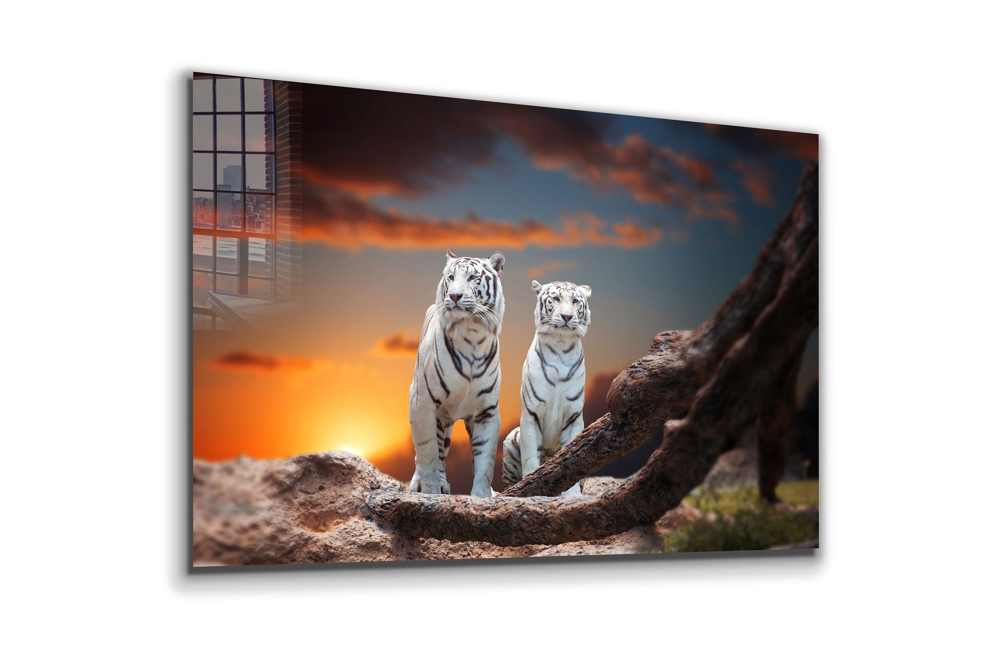 Tigers, Large Glass Wall Art