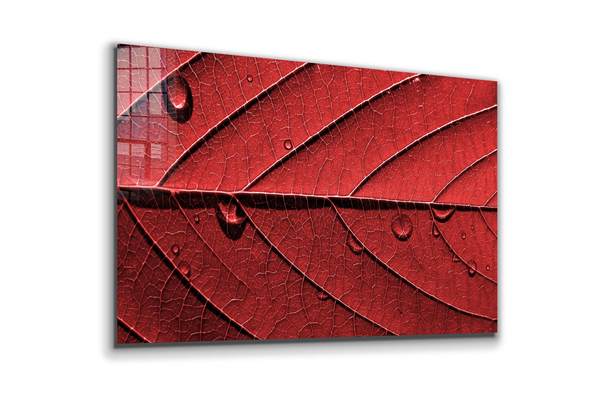 Red Leaf, Large Glass Wall Art