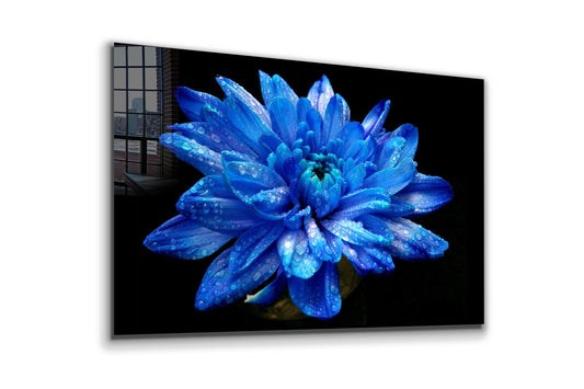 Flower, Large Glass Wall Art