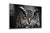 Owl Staring, Large Glass Wall Art