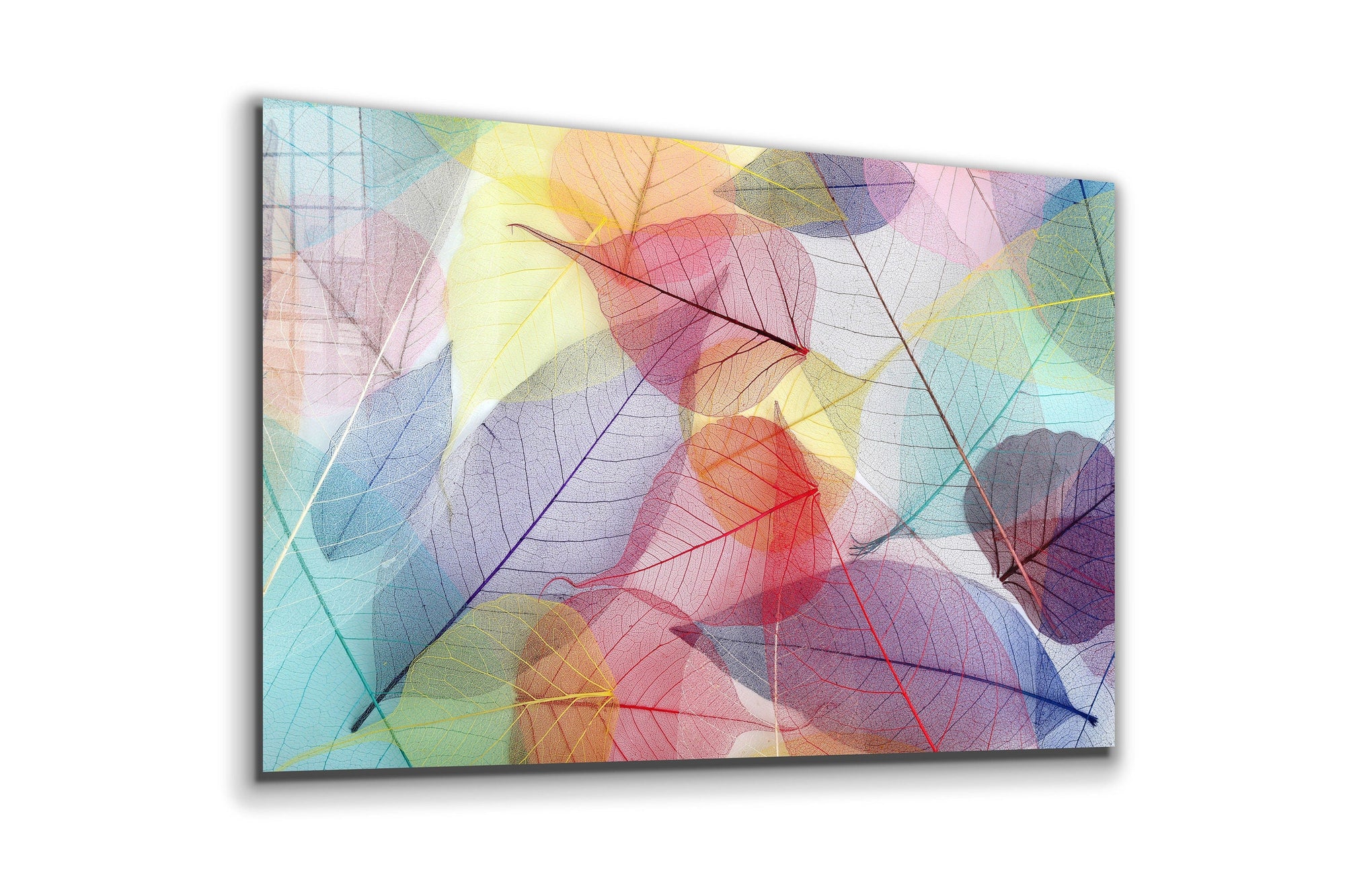 Leaves of Spring, X-Ray Leaf, Large Glass Wall Art