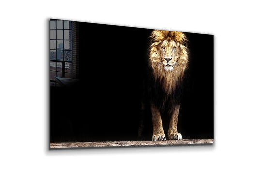 Lion, King of the Jungle, Large Glass Wall Art
