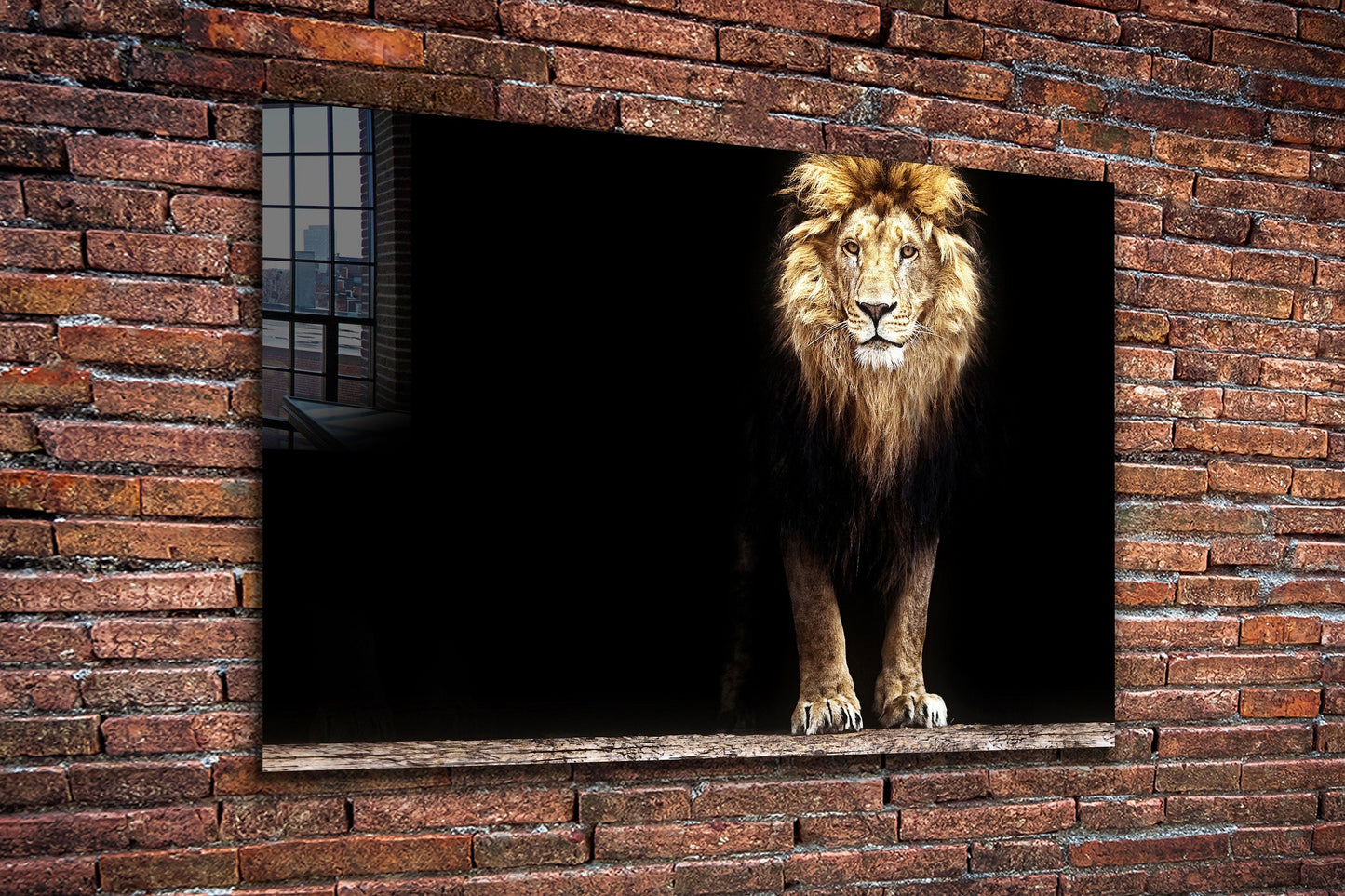 Lion, King of the Jungle, Large Glass Wall Art