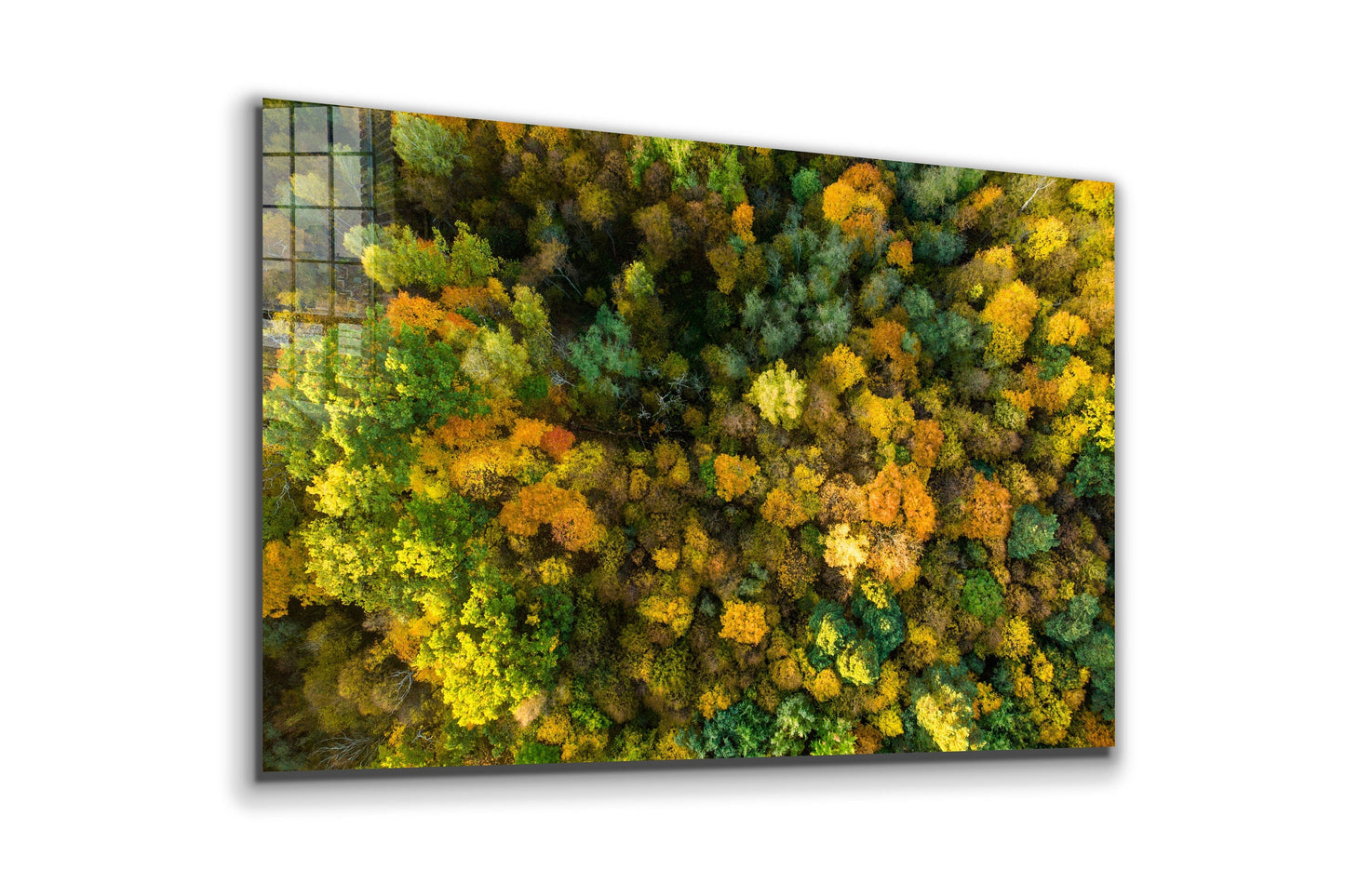 Forest Aerial, Large Glass Wall Art