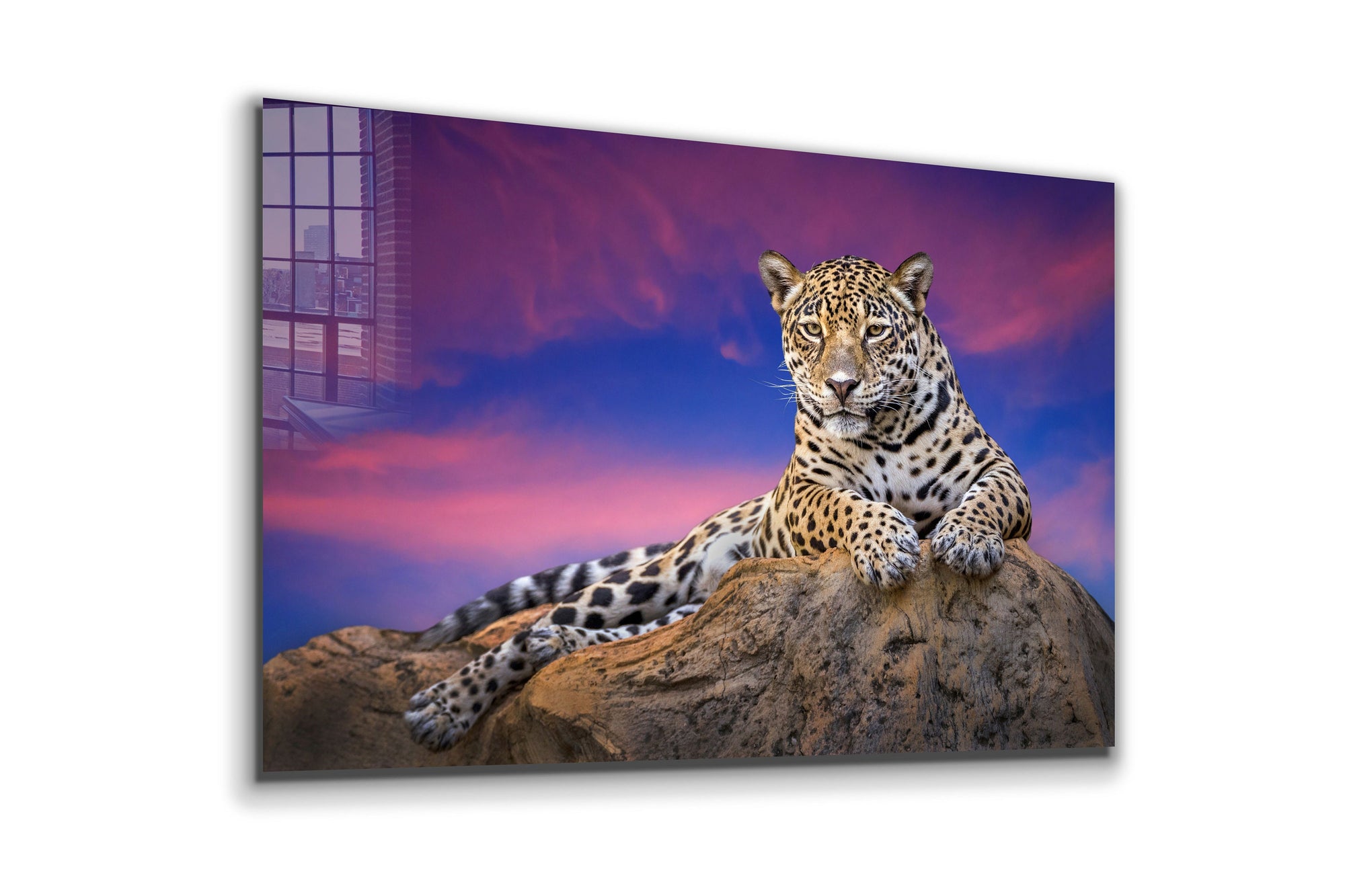 Leopard, Large Glass Wall Art