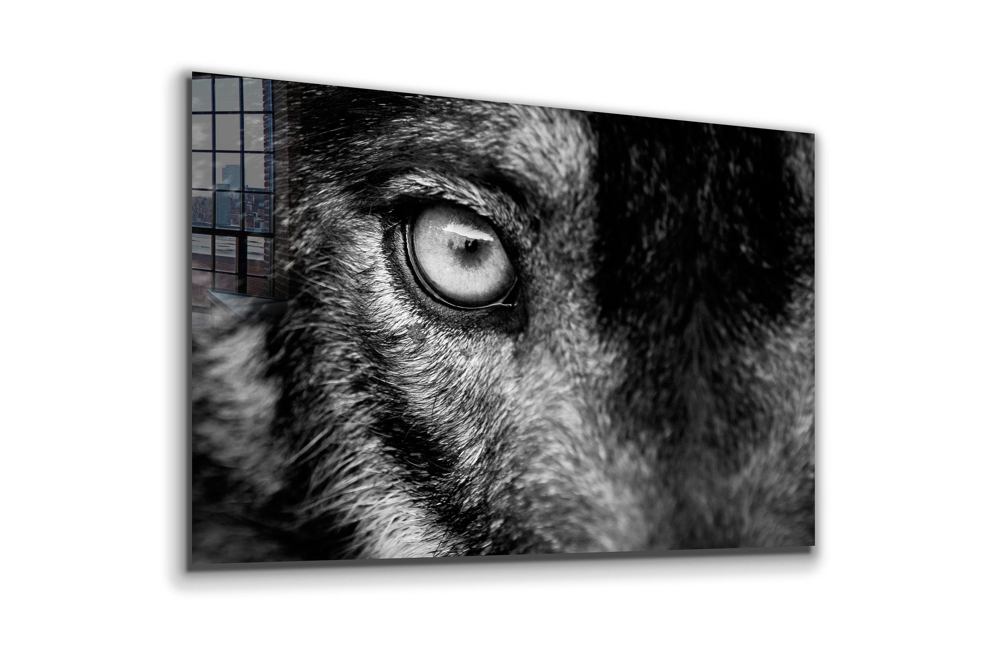 Wolf Eye, Large Glass Wall Art