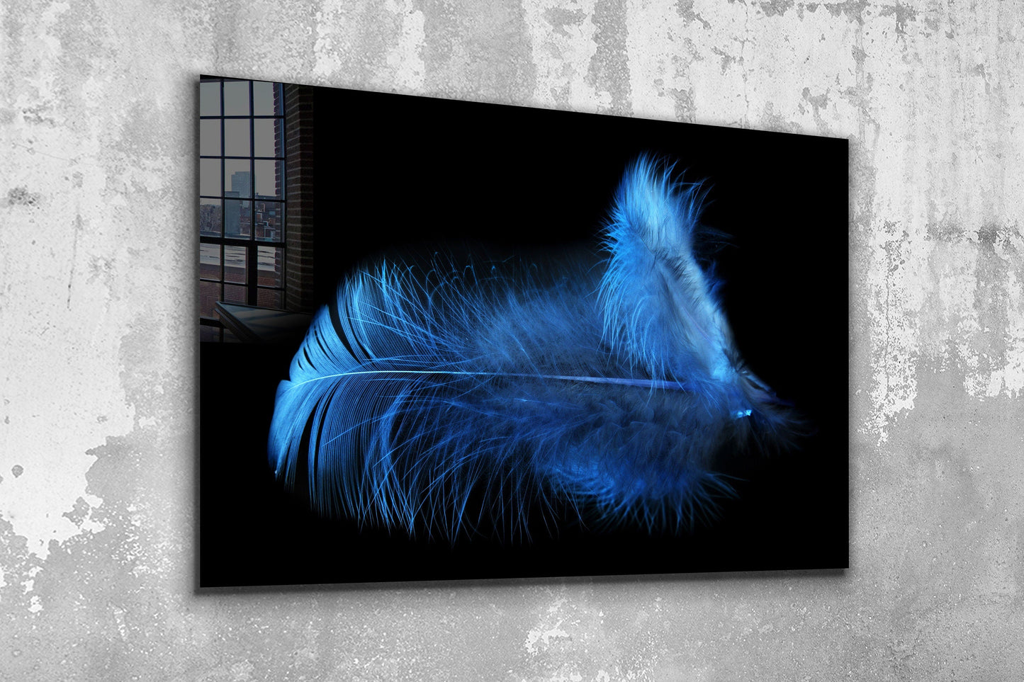 Blue Feather, Large Glass Wall Art