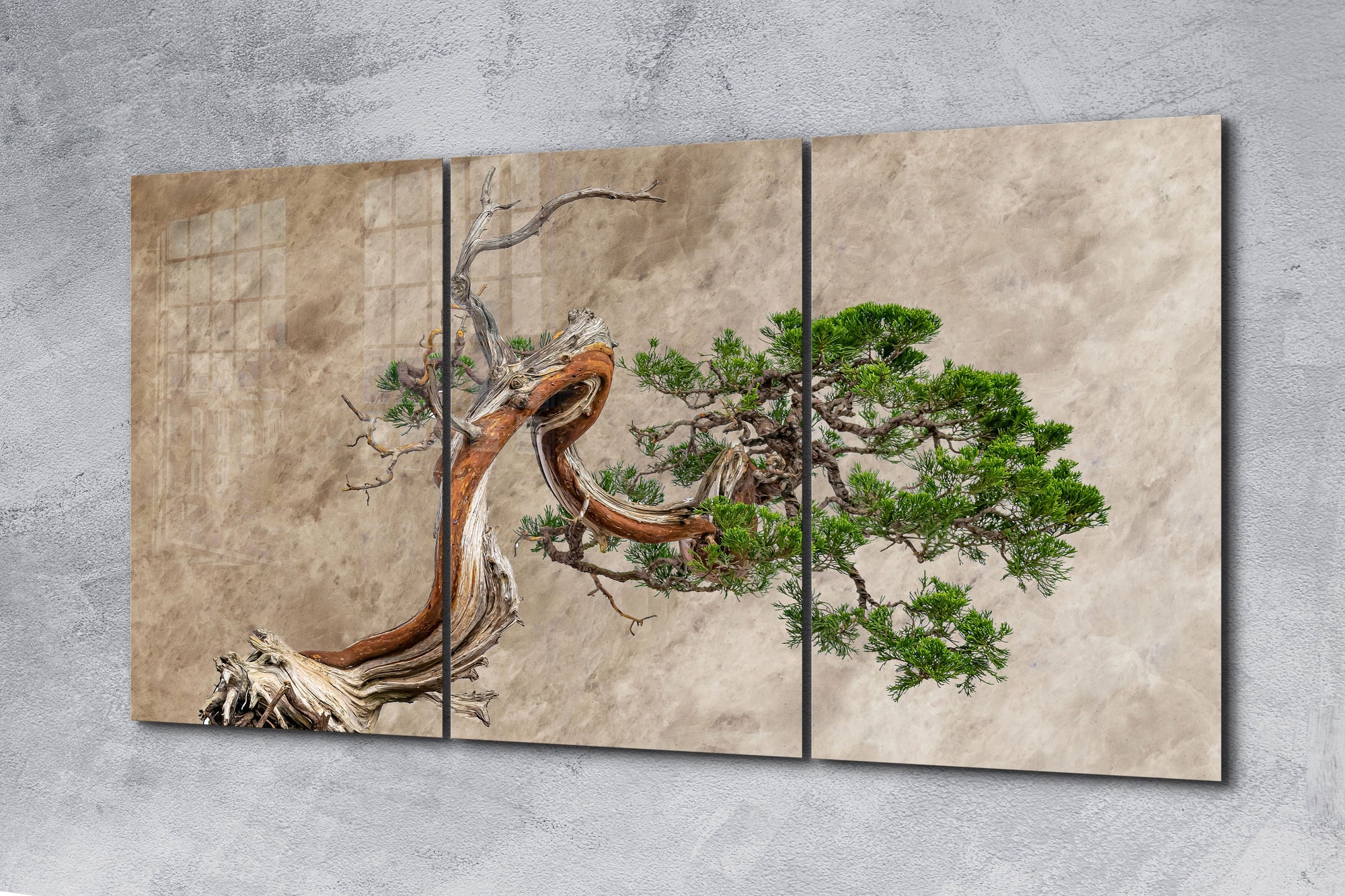 Bonsai Tree Mega, Large Glass Wall Art