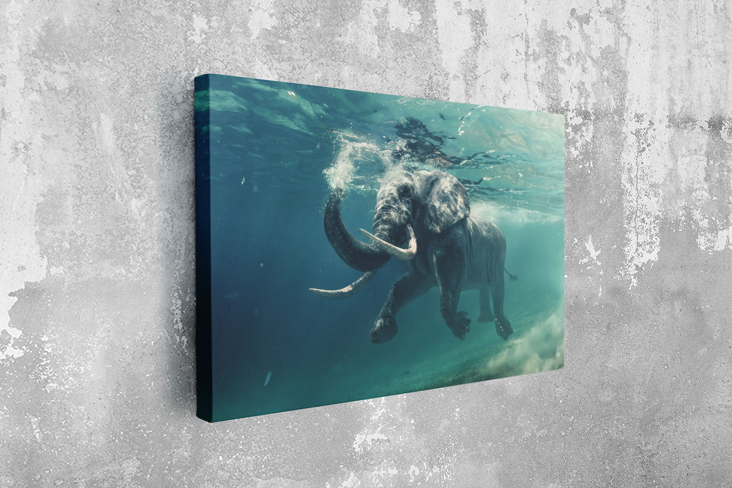 Elephant in the Sea, Large Glass Wall Art