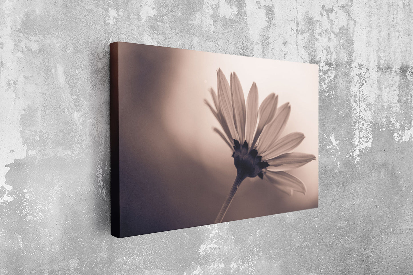 Dandelion, Large Glass Wall Art