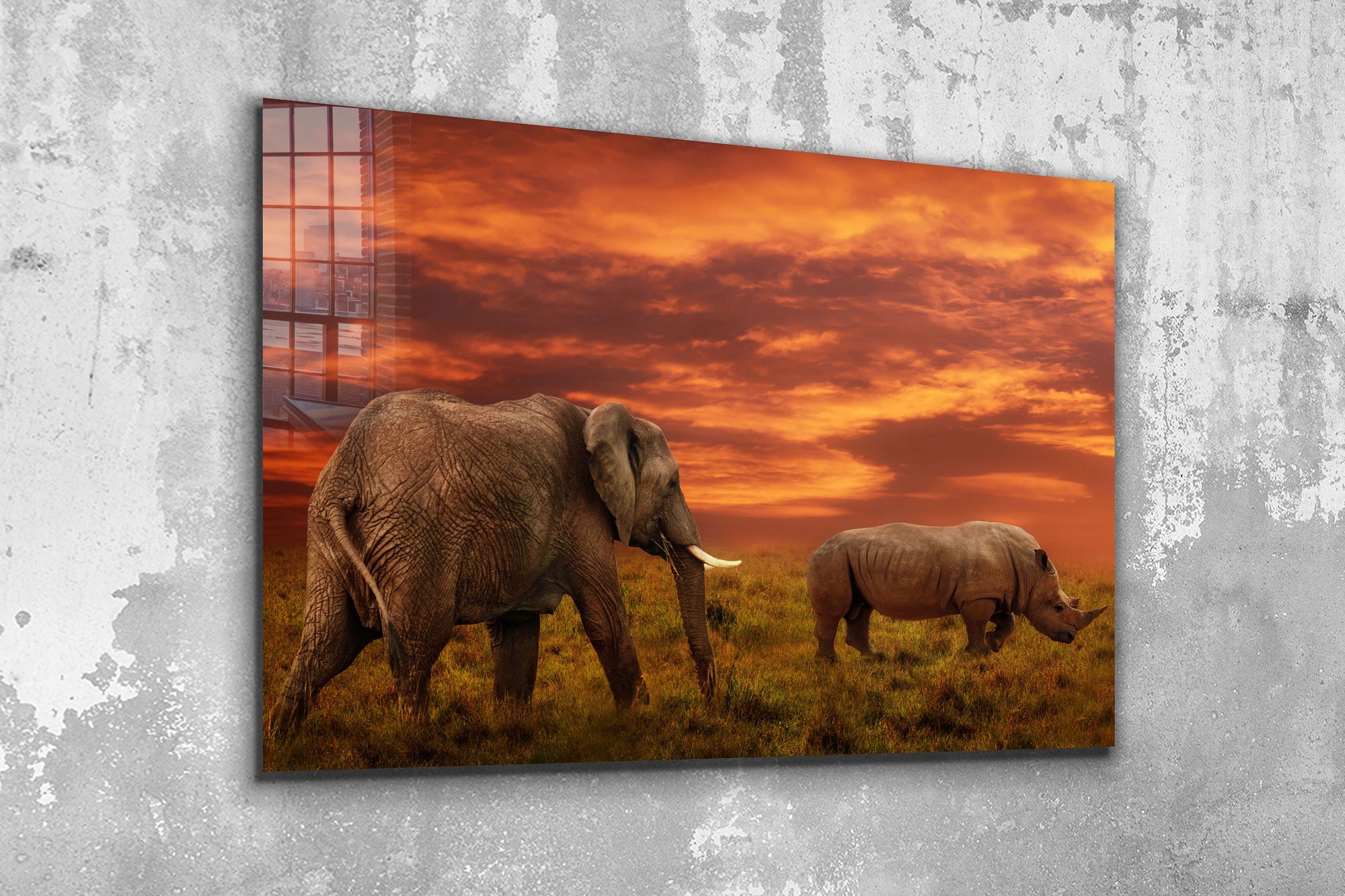 Elephant and Rhino Africa, Large Glass Wall Art