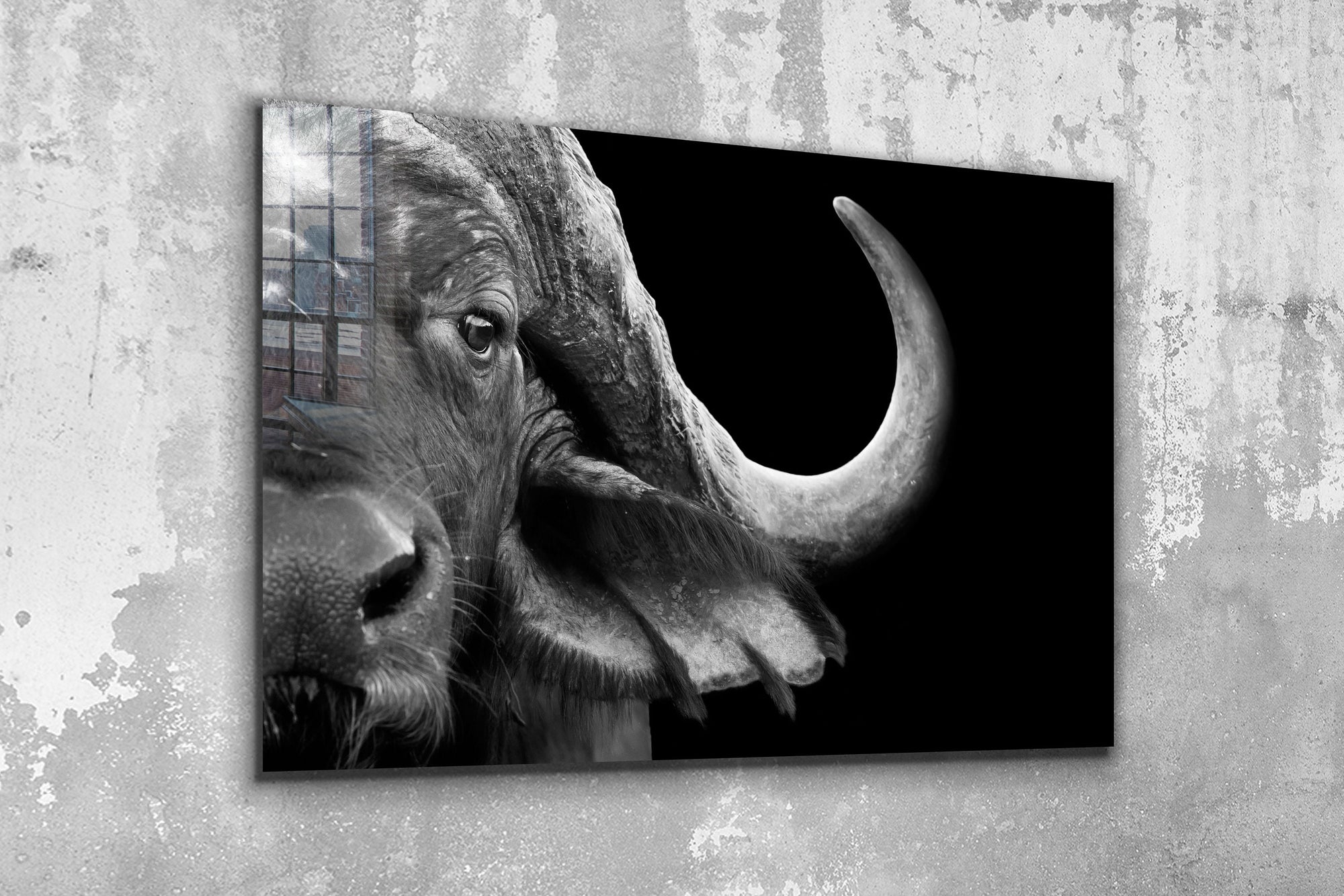 Buffalo, Large Glass Wall Art