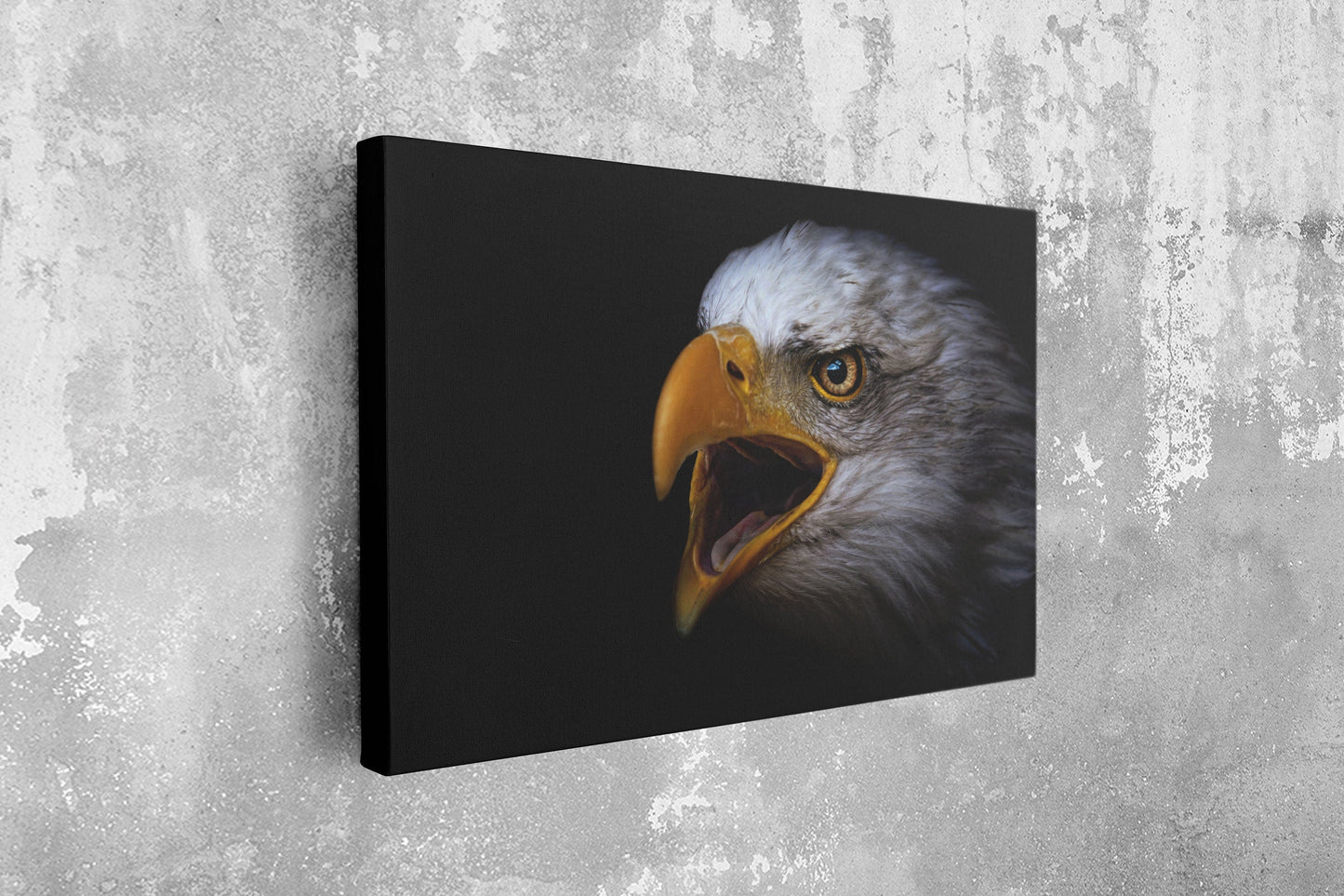Eagle, Large Glass Wall Art