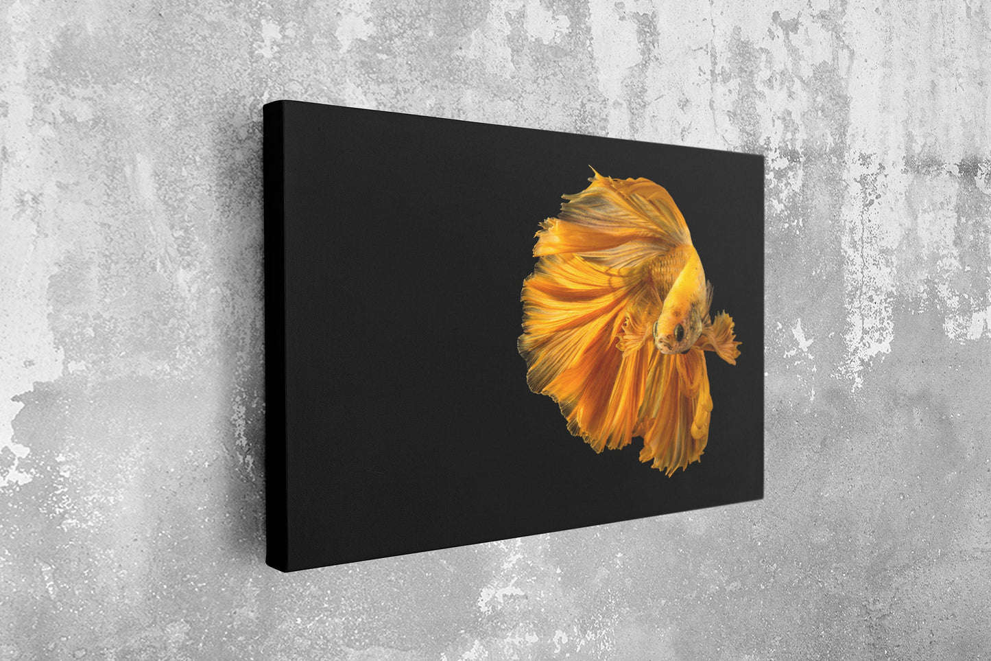 Siamese Fighting Fish, Large Glass Wall Art