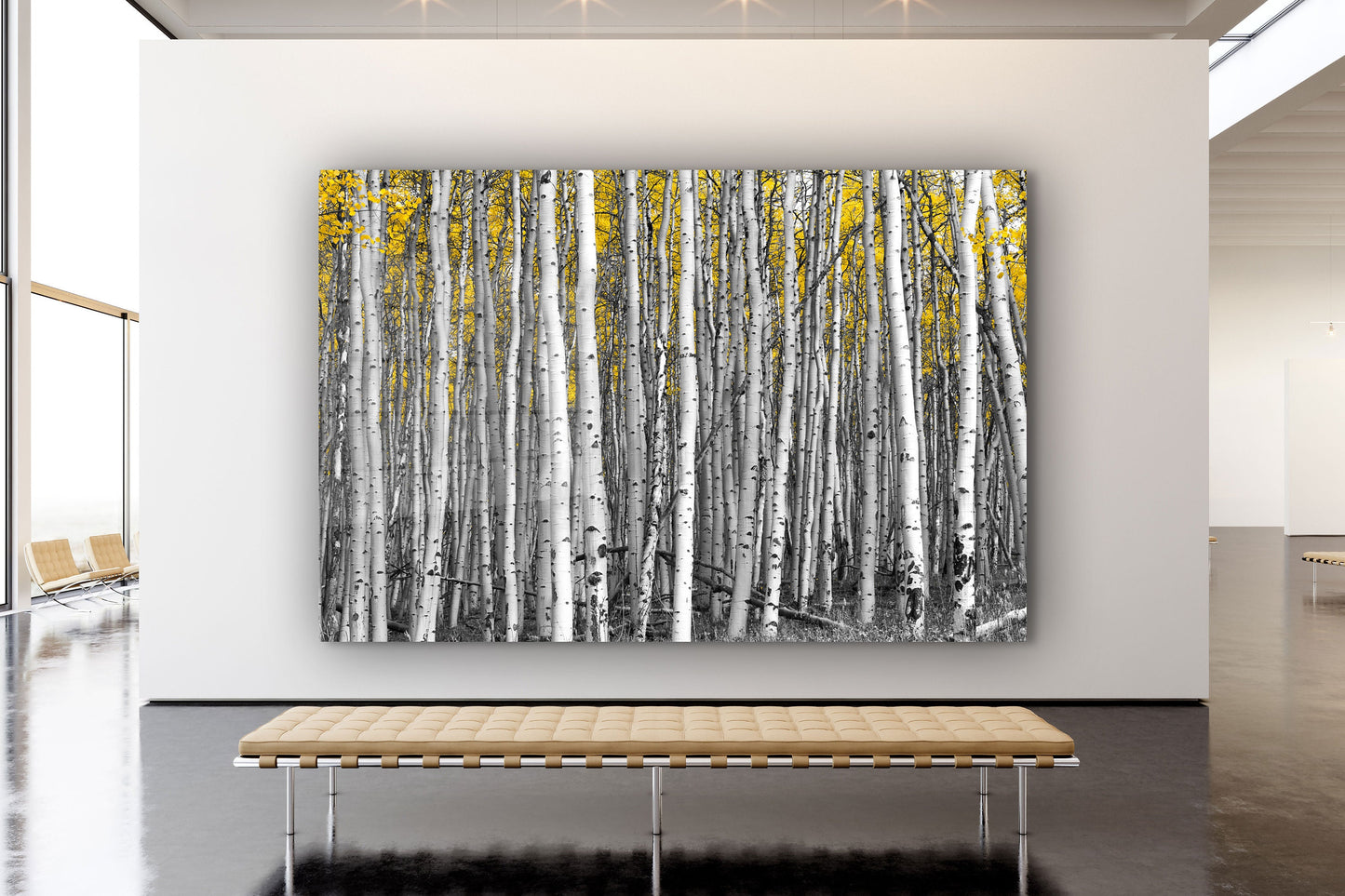 Birch Forest, Large Glass Wall Art