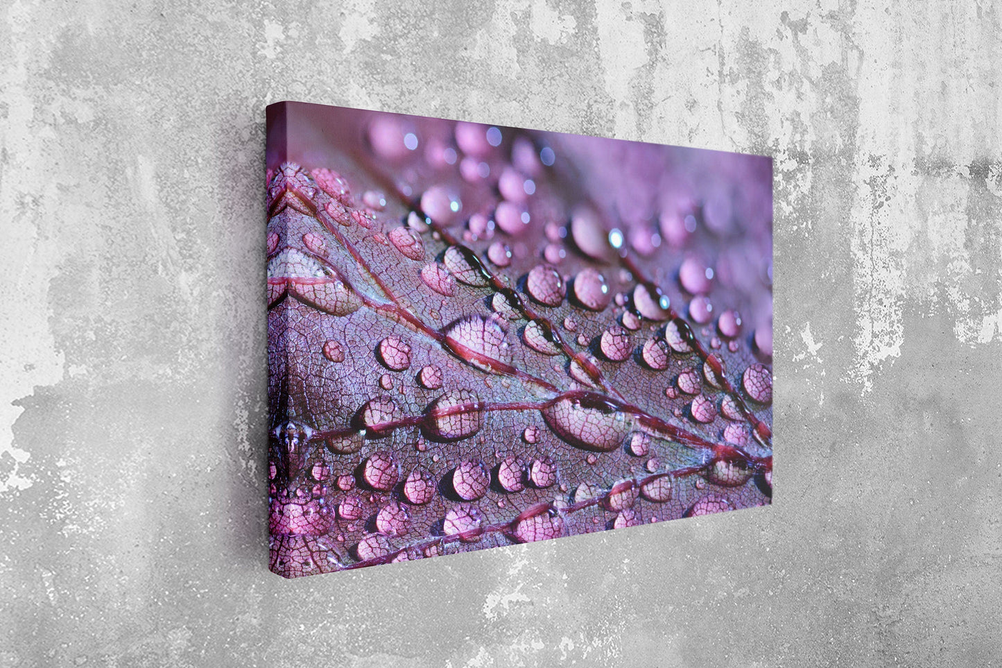 Drops on Leaf Close Up, Large Glass Wall Art