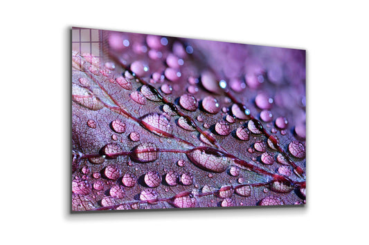 Drops on Leaf Close Up, Large Glass Wall Art