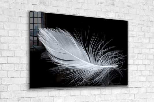 White Plumage, Large Glass Wall Art