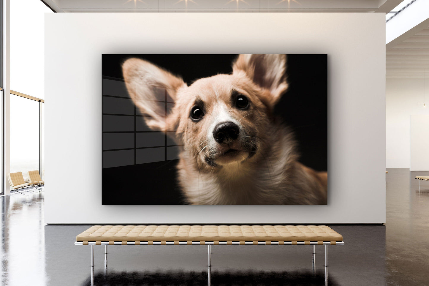 Cute Dog, Large Glass Wall Art