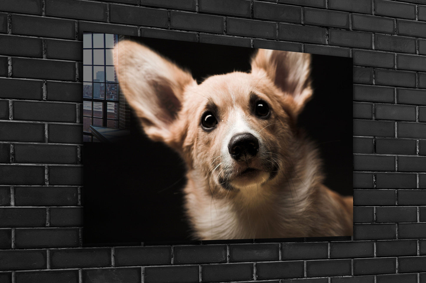 Cute Dog, Large Glass Wall Art
