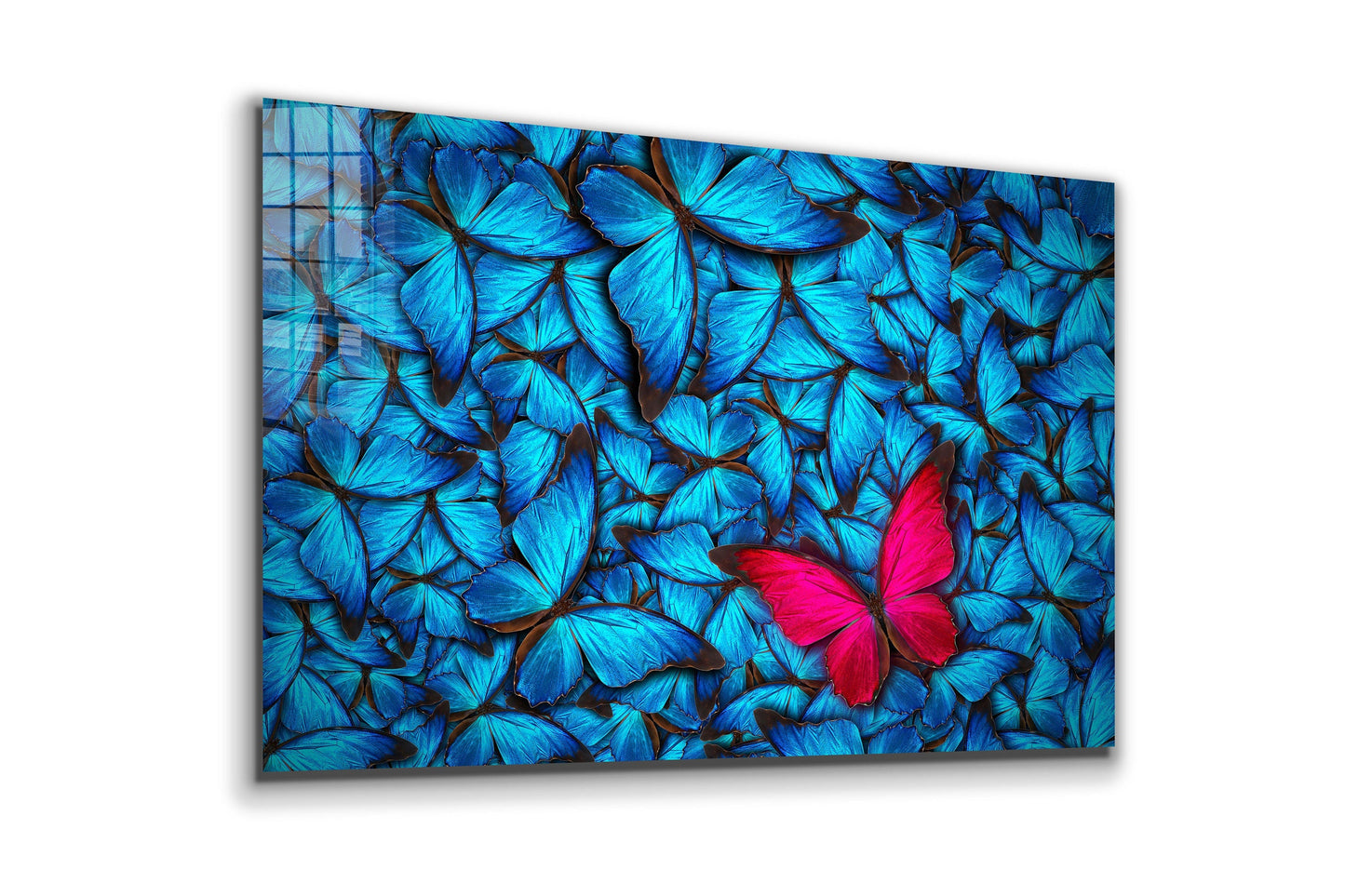 Butterflies, Large Glass Wall Art