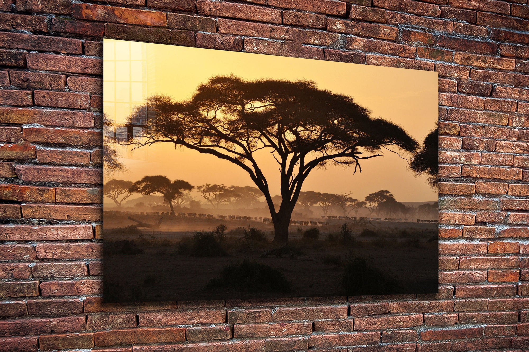 African Savannah, Large Glass Wall Art