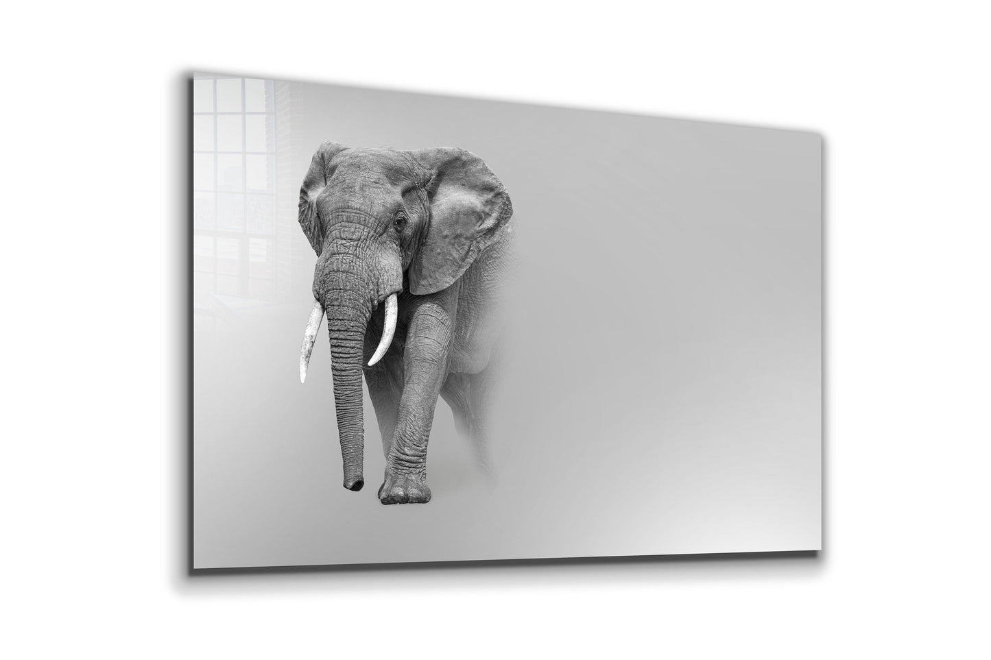 Elephant, Large Glass Wall Art