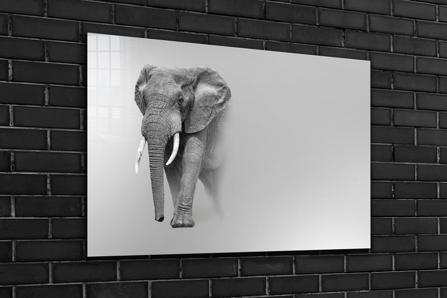 Elephant, Large Glass Wall Art