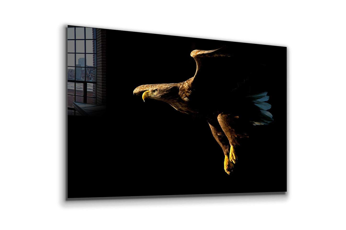 Flying Eagle, Large Glass Wall Art